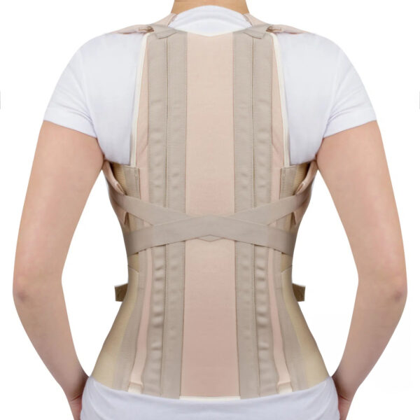 Faja-dorso-lumbar Faja Dorso Lumbar