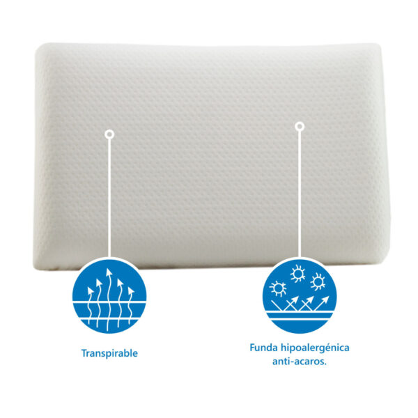 Estandar6 Almohada Estándar